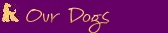 Dogs bred/owned by Gran Pamir