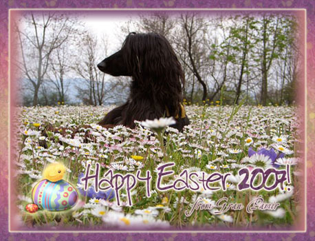 HAPPY EASTER 2007!