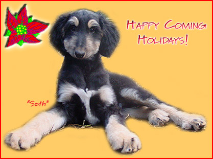 Seth & Co wish you Happy Holidays!