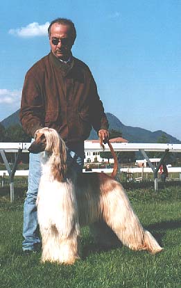 With her owner, Sept 2002