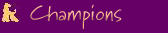 Gallery of Champions & Winners