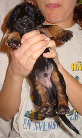 "I know I'm so cute!"