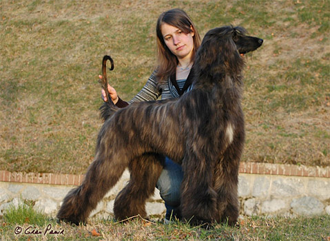 With Emanuela - March 2009