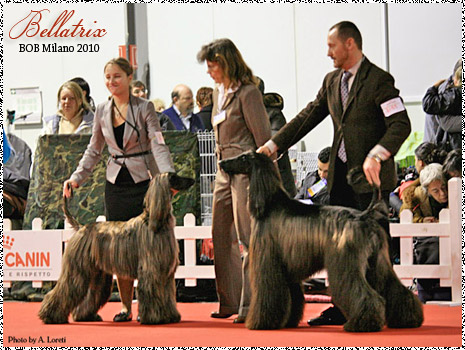 bellatrix BOB at Italy's most prestigeous show!