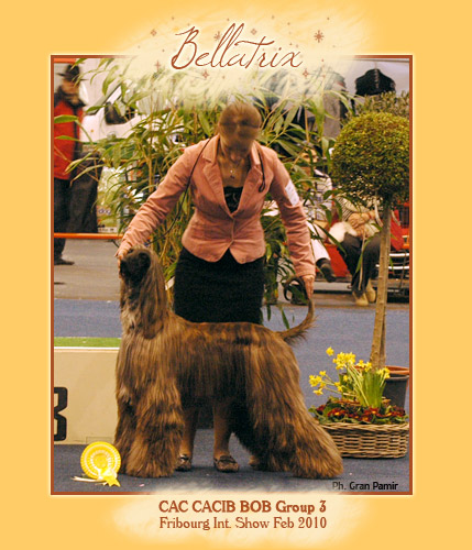 Bellatrix BOB @ Fribourg INT (CH)