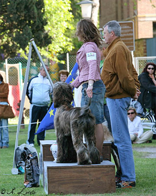 Group 2 @ 12 months