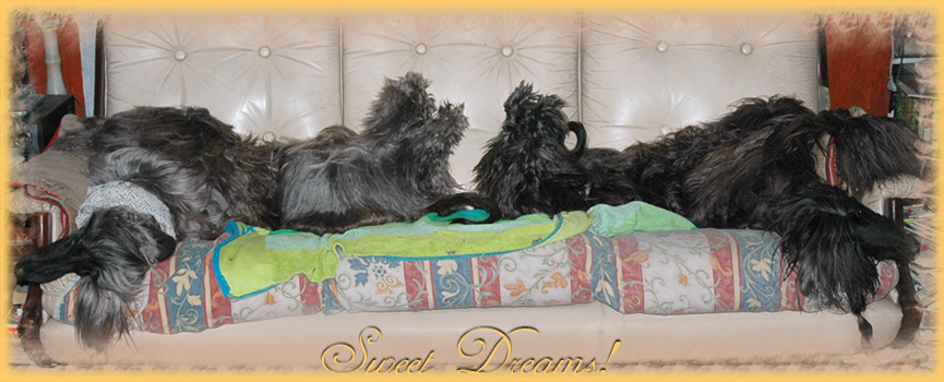 Life is soooo ahrd! Thats what Bellatrix and Indiana think...