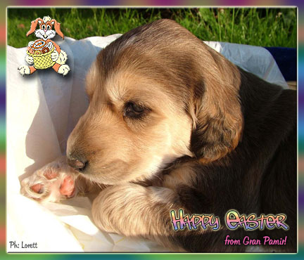 HAPPY EASTER FROM GRAN PAMIR!