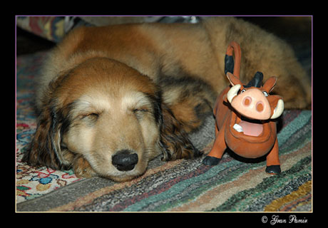 Sweet dreams...