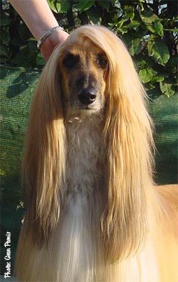 Charming Fabio...