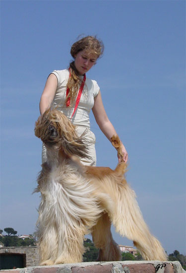 April 24th - wasn't it windy!