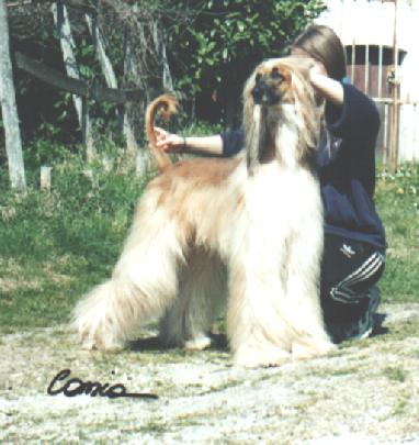 "Fabio" on Easter Day, 31-03-02
