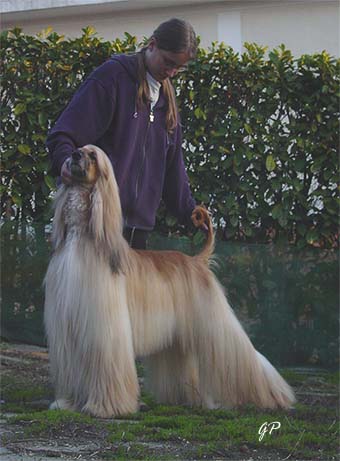 Fabio on March 29 '04 at night