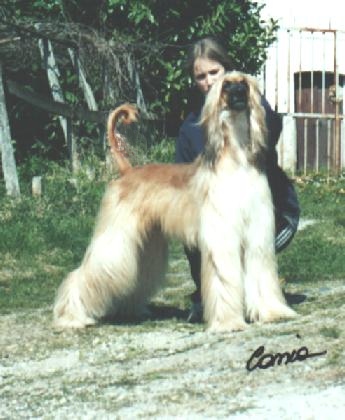 Fabio