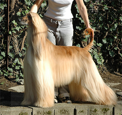 March 28, 2005