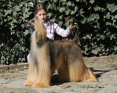 March 2007 - 11 years old!