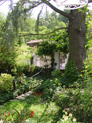 Summer Time - part of our Garden