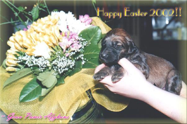 HAPPY EASTER FROM ALL OF US!!