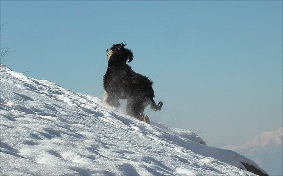 "Iara" enjoying her holiday in February - Photo by Isabell Janza
