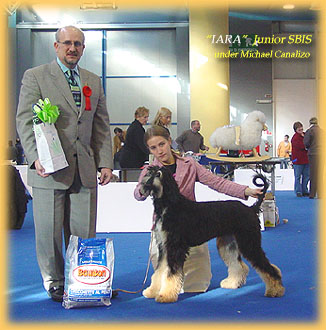 Iara wins Jun SBIS under Mr Canalizo - Nov 2004