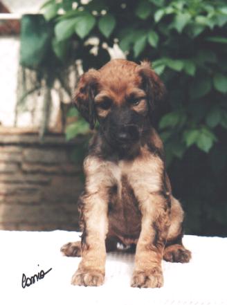 43 days old