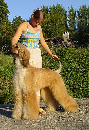 "Kyber" with Emanuela September 2003