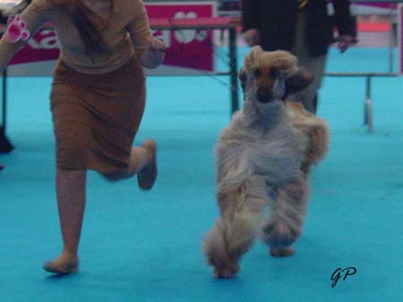 Kyber on the move