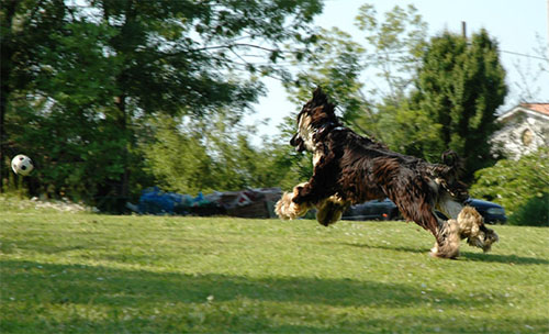 Lon playing! - May '05, Ph by Emanuela