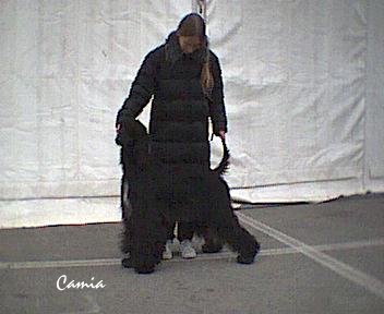 Liliath at her first show... -- click to enlarge