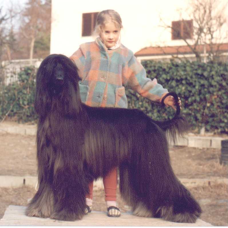 Manu & Dodo '91