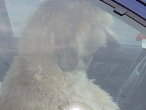 Where are we driving to??