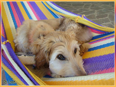 Tigro's baby Olympia enjoys the HOT summer!