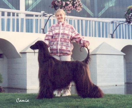 With Multi Ch Cartier Simply Irresistible "Palmer" in 1996