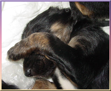 ... 1 month old!