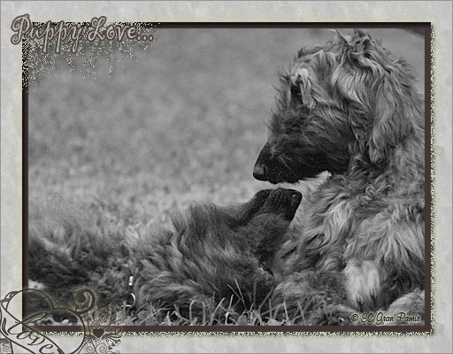 Amlie & Bellatrix