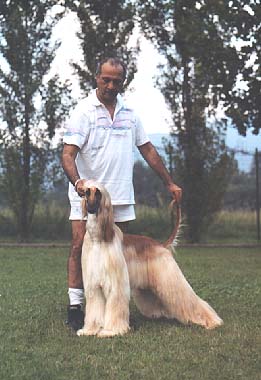 Photo by Roberto Bongiovanni