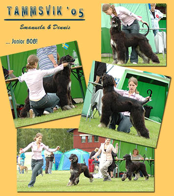 Tammsvik 2005