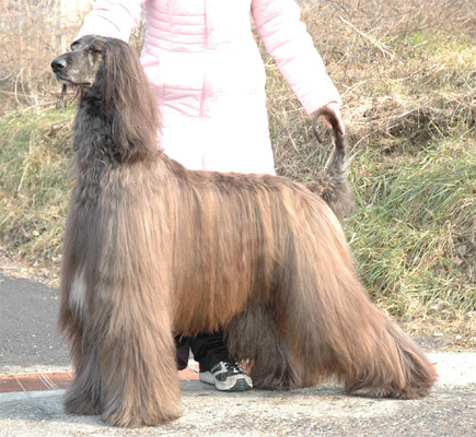 Tigro on Feb 6, 2005