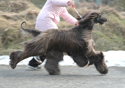On the move - Feb 6
