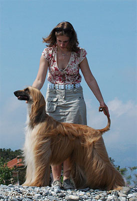 Tuuli, April 2007