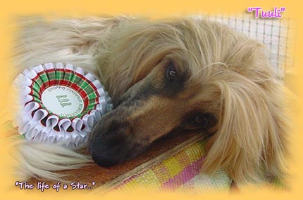 "Tuuli" having a well deserved rest! After her 3. BOB in June 04