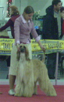 Tuuli