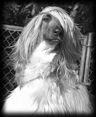 A ruffle haired but charming Tuuli
