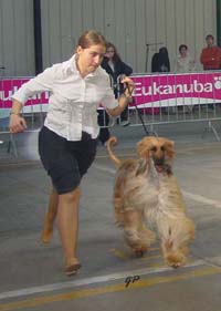 Tuuli on the move