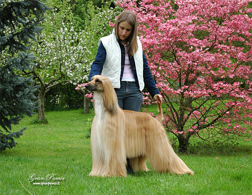 April 2006