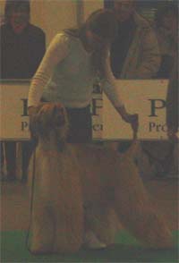 In the Group ring