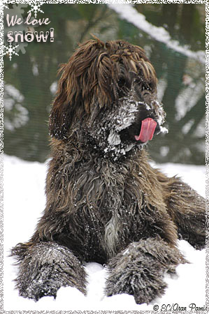 "Bellatrix" tasting Snow...