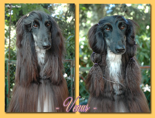 -- Venus ~ July '05 --