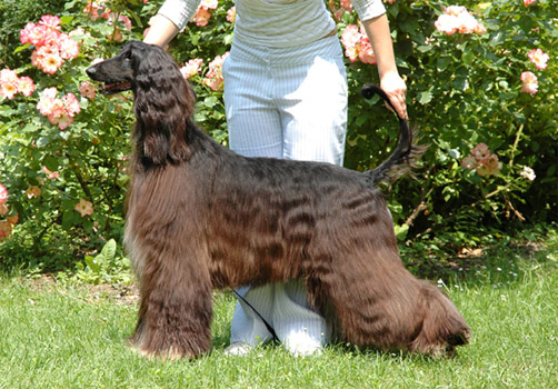 June 2005