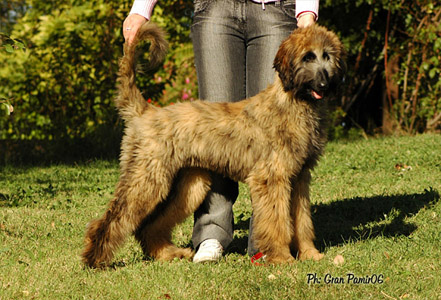 Viktor - November 2, 2006